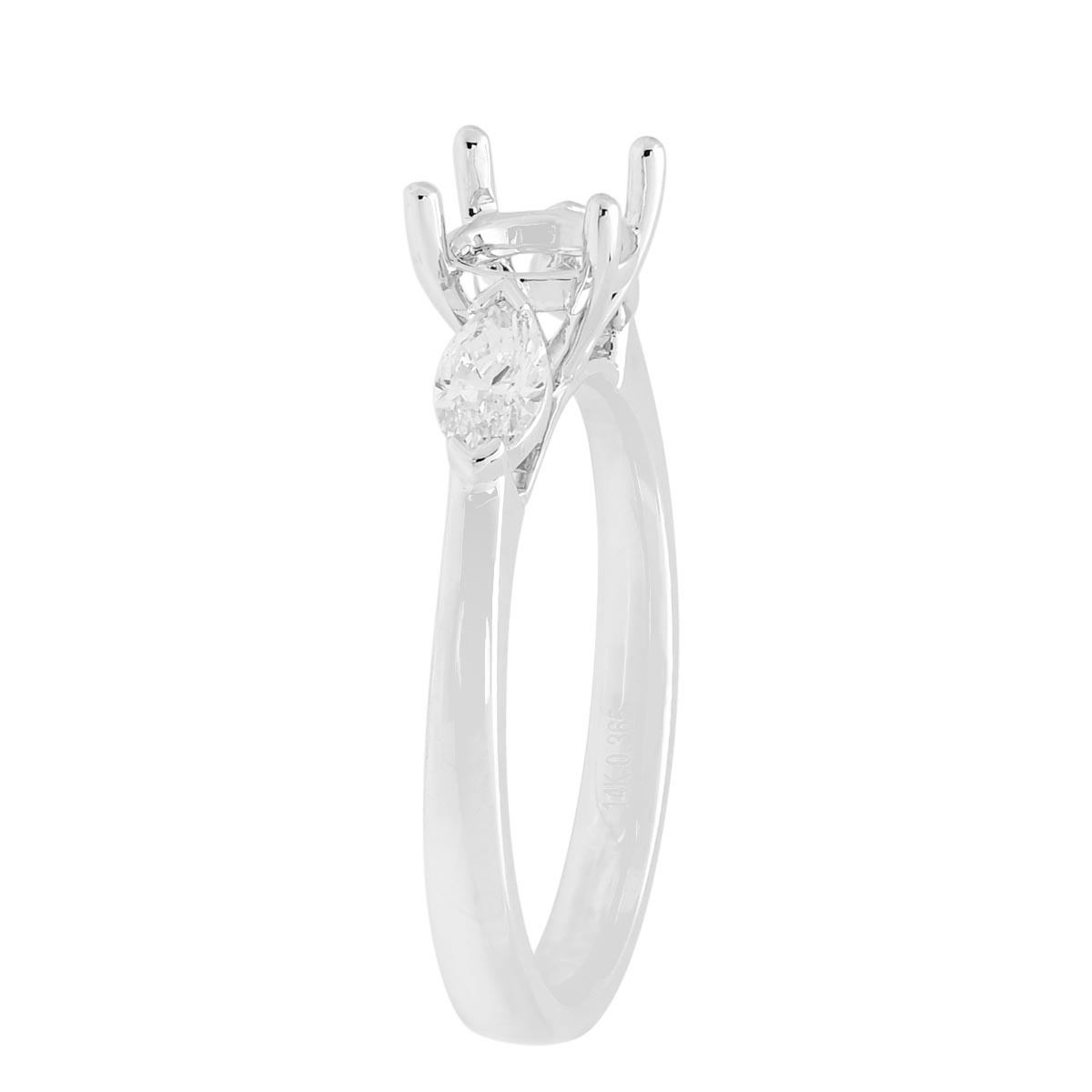 Diamond Engagement Ring Setting in 14kt White Gold (1/3ct tw)