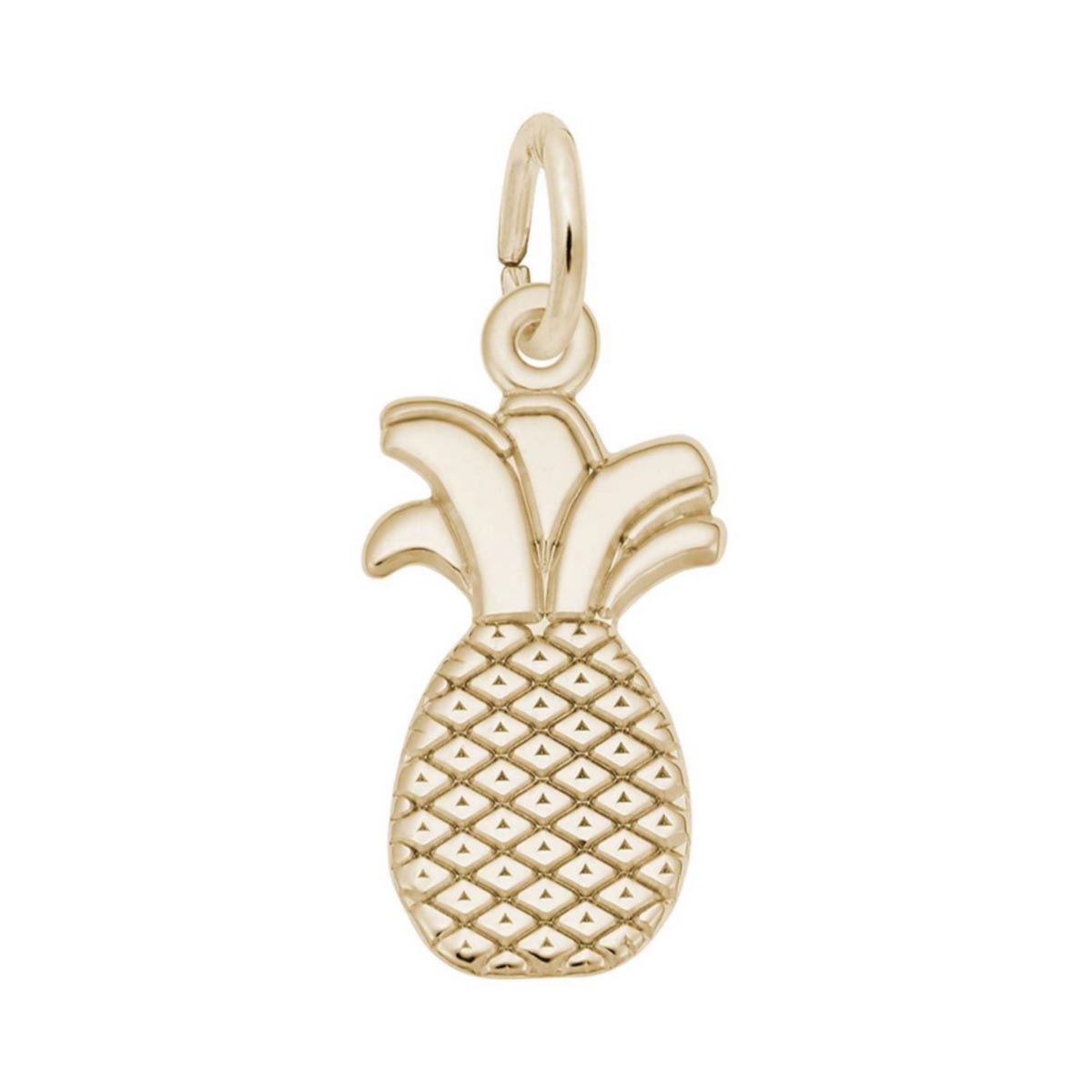 Rembrandt Pineapple Charm in 10kt Yellow Gold